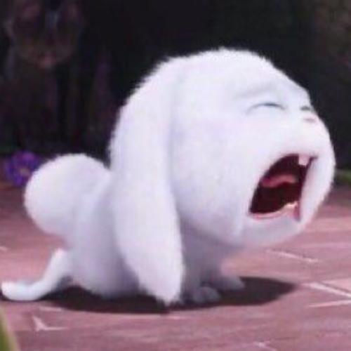 สมาชิกหมายเลข 6884994