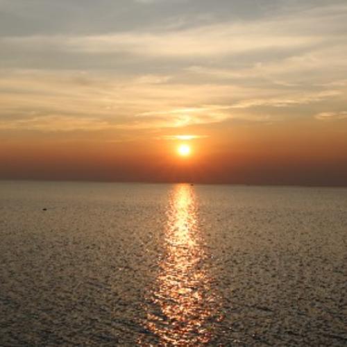 สมาชิกหมายเลข 893404