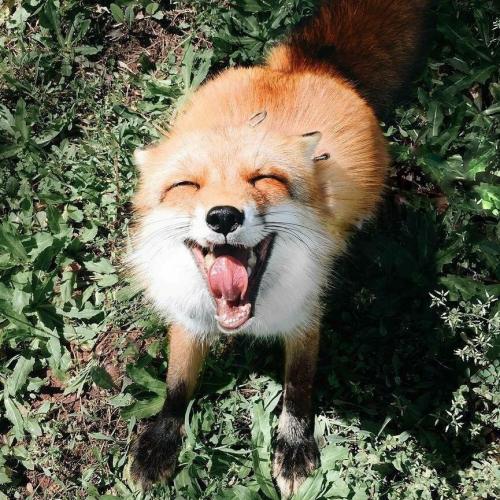 สมาชิกหมายเลข 3363017