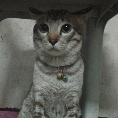 สมาชิกหมายเลข 4898677