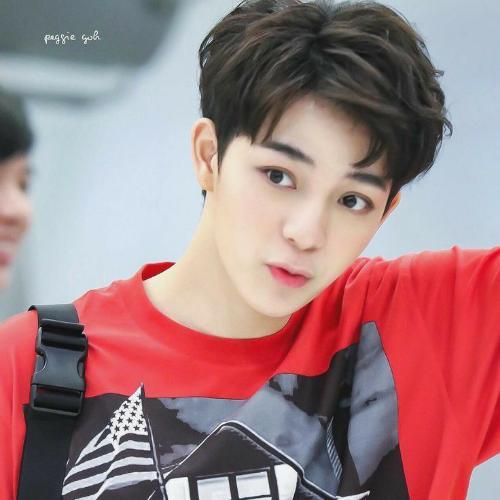 สมาชิกหมายเลข 5283289