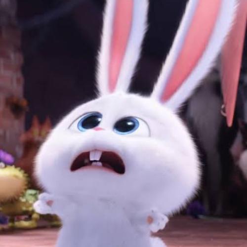 สมาชิกหมายเลข 5293181