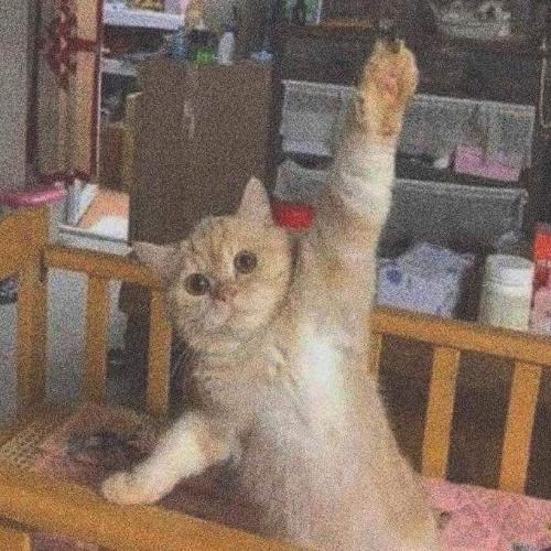 สมาชิกหมายเลข 3432285