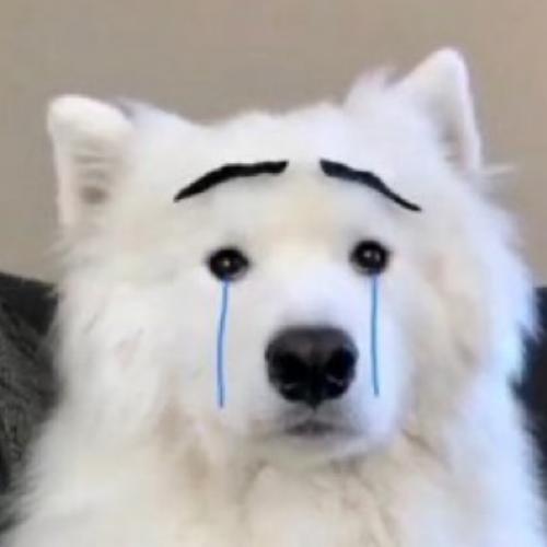 สมาชิกหมายเลข 7019350