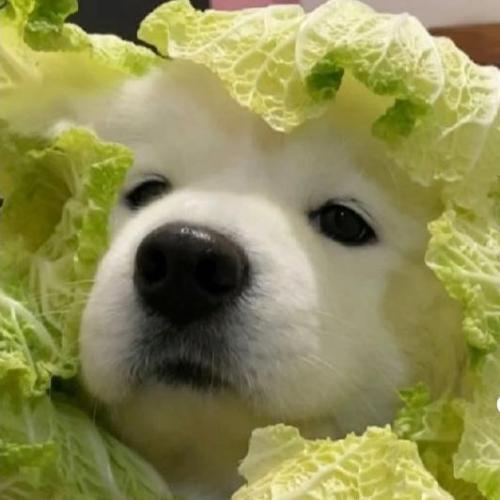 สมาชิกหมายเลข 7784228