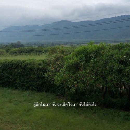 สมาชิกหมายเลข 7787355