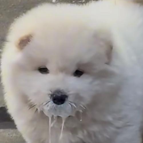 สมาชิกหมายเลข 6936355