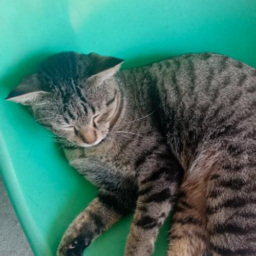 สมาชิกหมายเลข 8609029