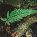 สมาชิกหมายเลข 3066856