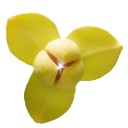 สมาชิกหมายเลข 4119224