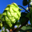 สมาชิกหมายเลข 4136466