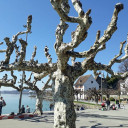 สมาชิกหมายเลข 3419733