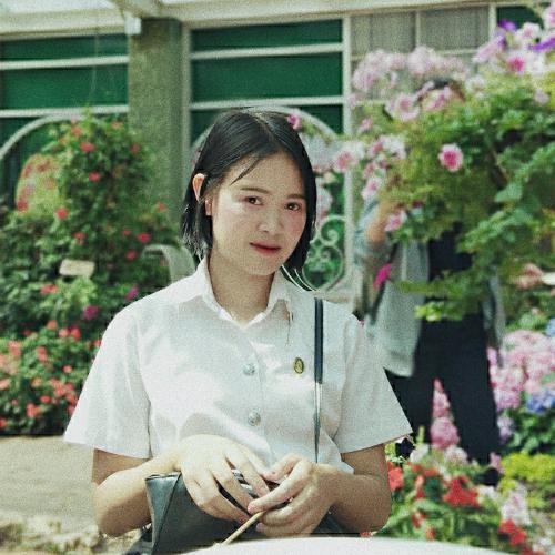 สมาชิกหมายเลข 5293303