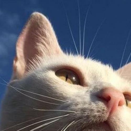 สมาชิกหมายเลข 5651998