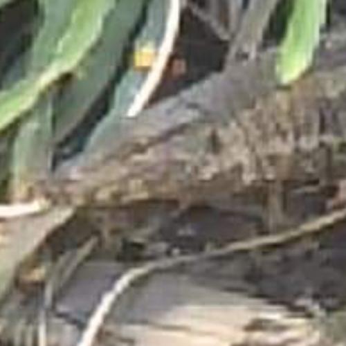 สมาชิกหมายเลข 5661280