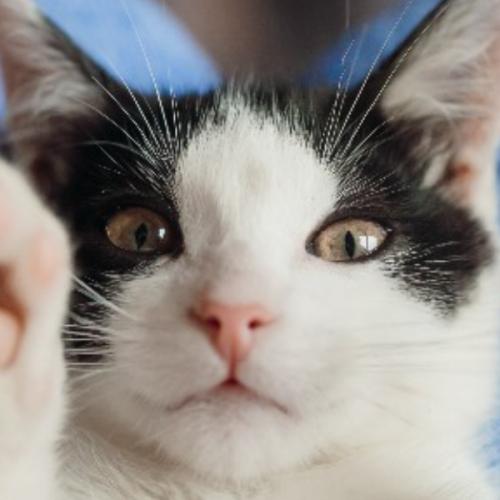 สมาชิกหมายเลข 6337409