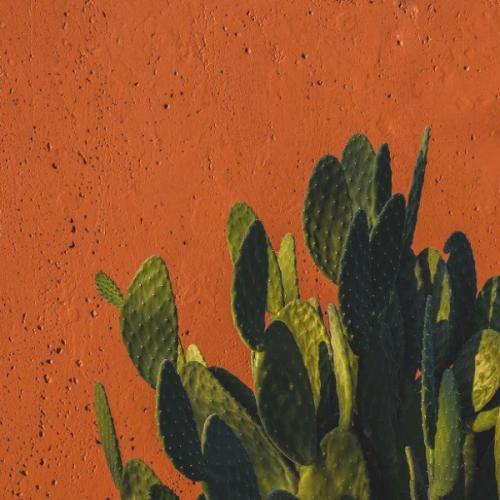 สมาชิกหมายเลข 7020534