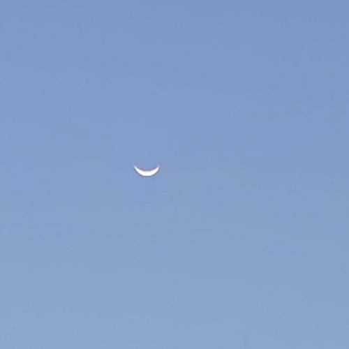 สมาชิกหมายเลข 7020730