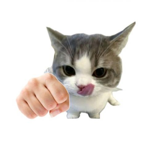 สมาชิกหมายเลข 3645150