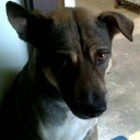 สมาชิกหมายเลข 1783054