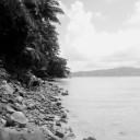 สมาชิกหมายเลข 4136754