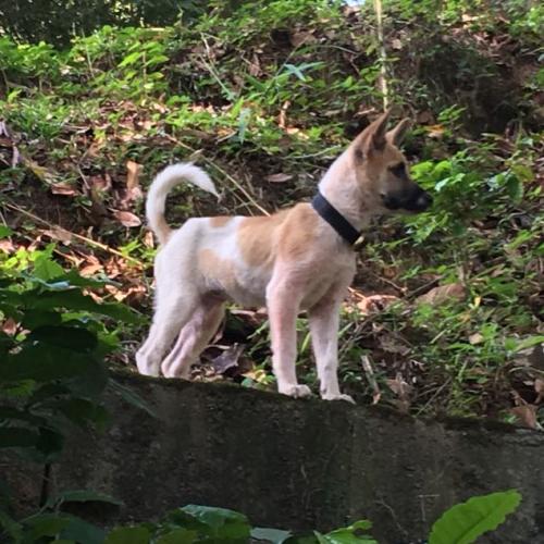 สมาชิกหมายเลข 1696328