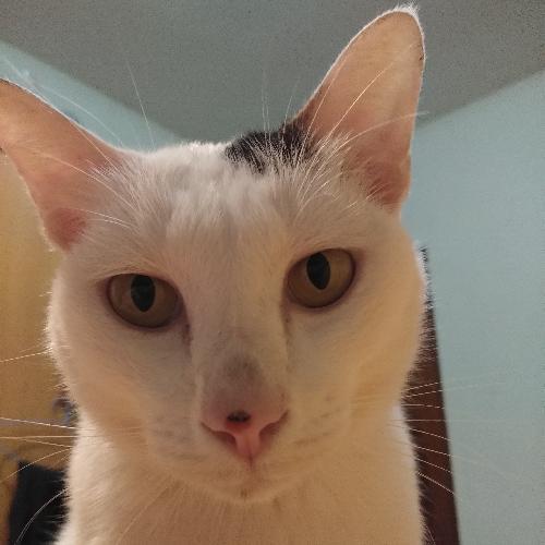 สมาชิกหมายเลข 4557946