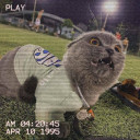 สมาชิกหมายเลข 4949951