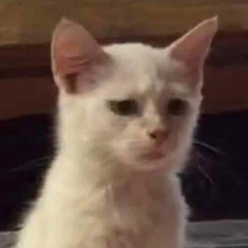 สมาชิกหมายเลข 5200335