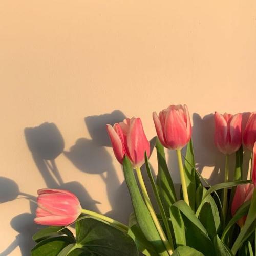 สมาชิกหมายเลข 7020851