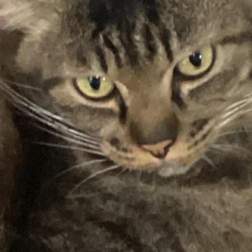 สมาชิกหมายเลข 7004071