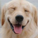 สมาชิกหมายเลข 3675853