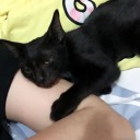 สมาชิกหมายเลข 3587336