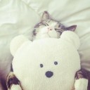 สมาชิกหมายเลข 4110790