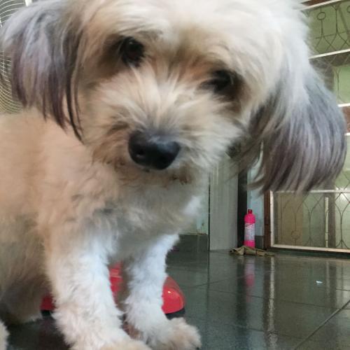 สมาชิกหมายเลข 4137051