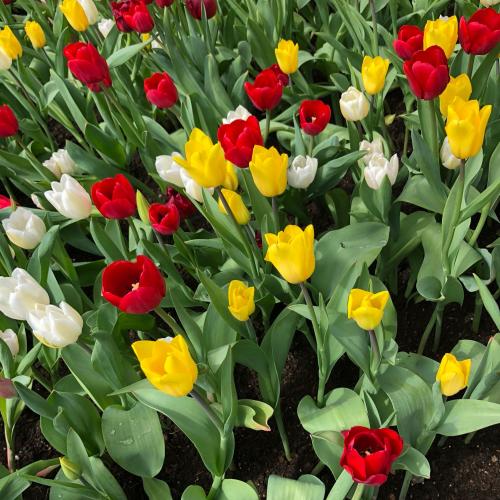 สมาชิกหมายเลข 3917632