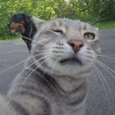 สมาชิกหมายเลข 4899511