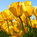 สมาชิกหมายเลข 4899580