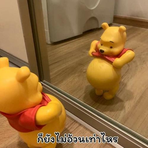 สมาชิกหมายเลข 3378364