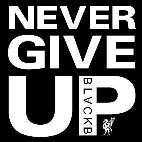 หมีมอมแมม