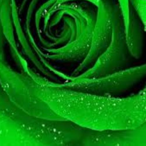 สมาชิกหมายเลข 5257828