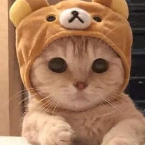 สมาชิกหมายเลข 5315653