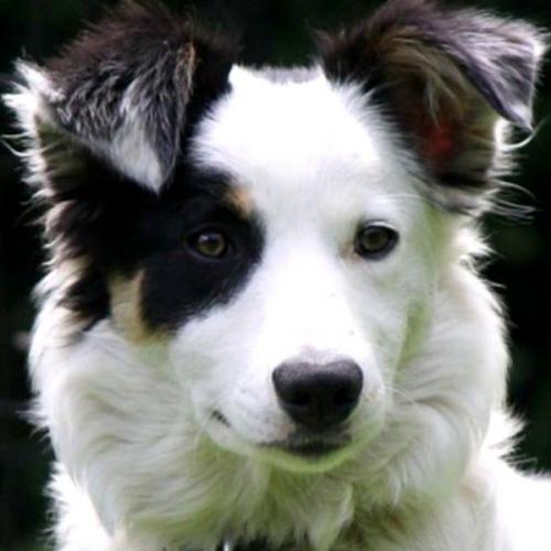 สมาชิกหมายเลข 1285371