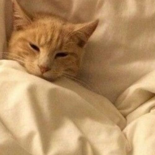 สมาชิกหมายเลข 5779008