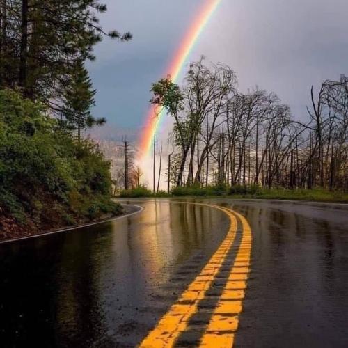 สมาชิกหมายเลข 7022226