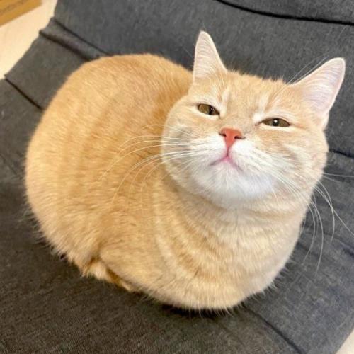 สมาชิกหมายเลข 7110259