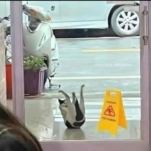 สมาชิกหมายเลข 8740505