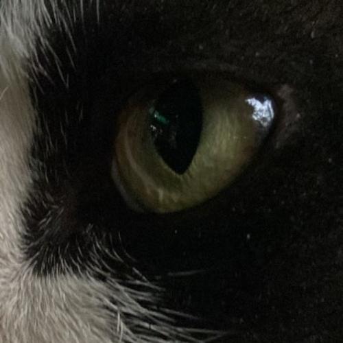 สมาชิกหมายเลข 8755446