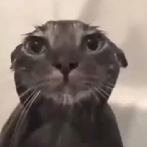 สมาชิกหมายเลข 8755489