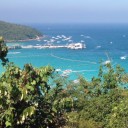 สมาชิกหมายเลข 2066469